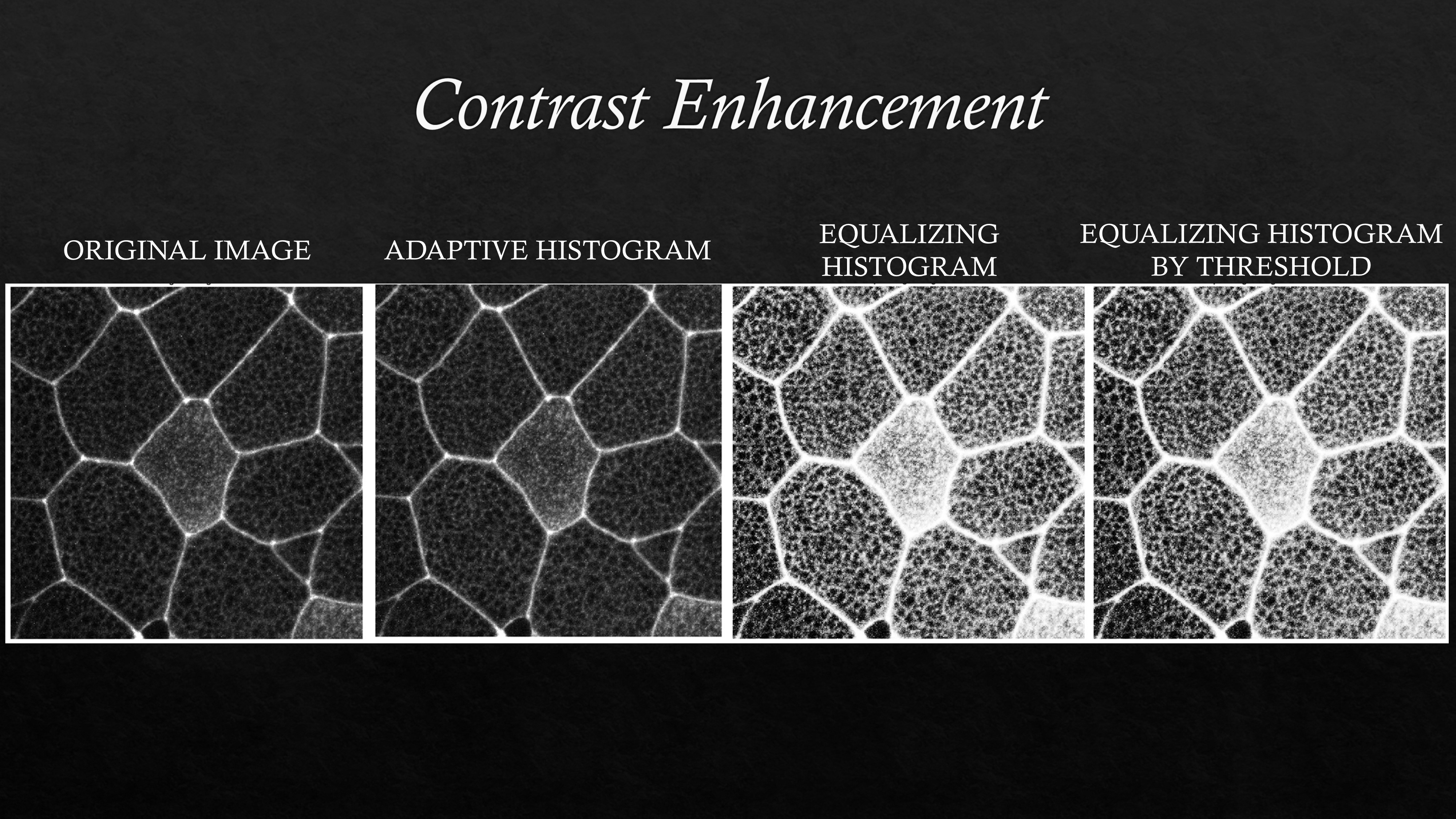 Image Segmentation Using MATLAB - Vignesh Aravind: Project Page
