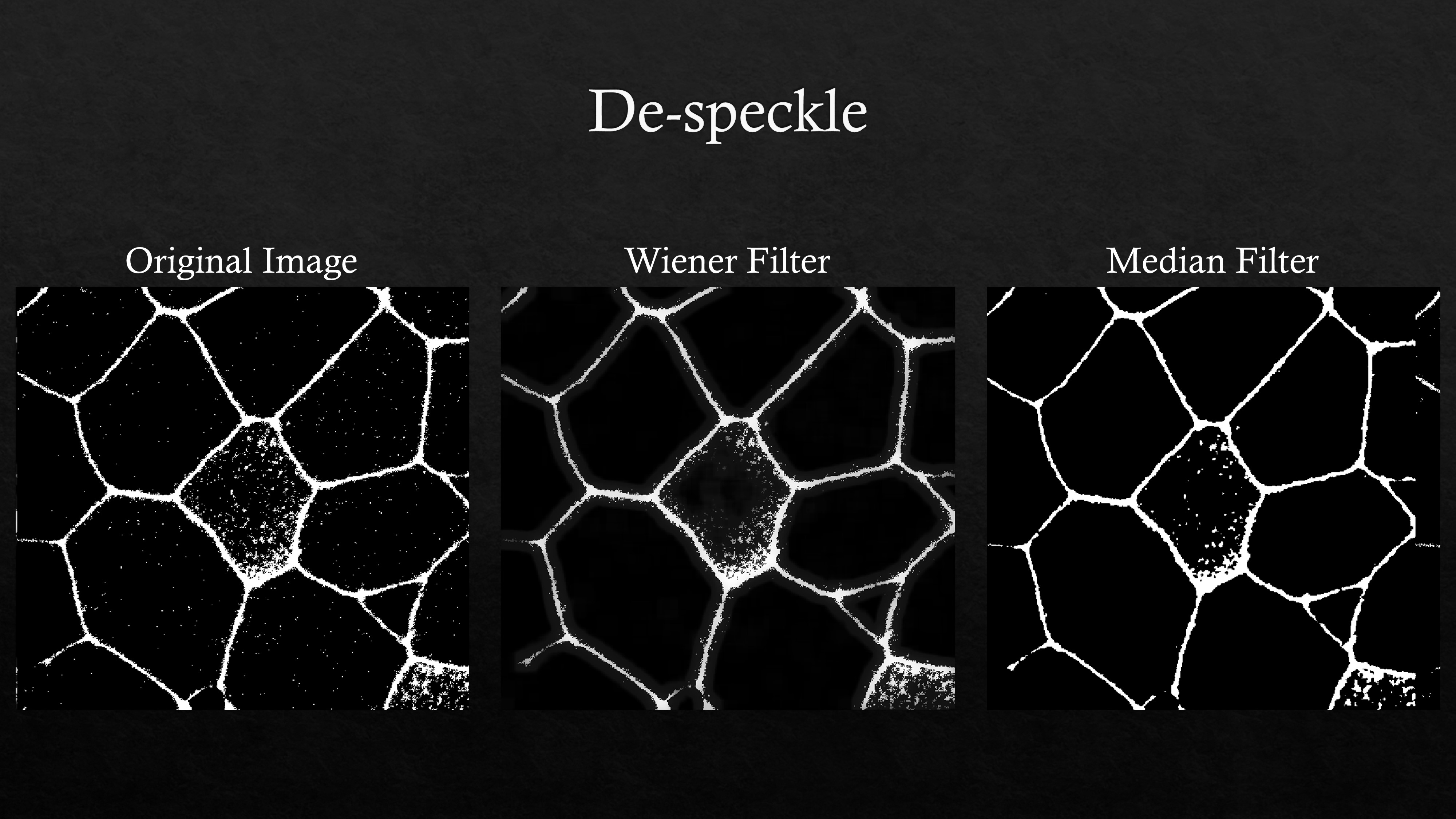 Image Segmentation Using MATLAB - Vignesh Aravind: Project Page