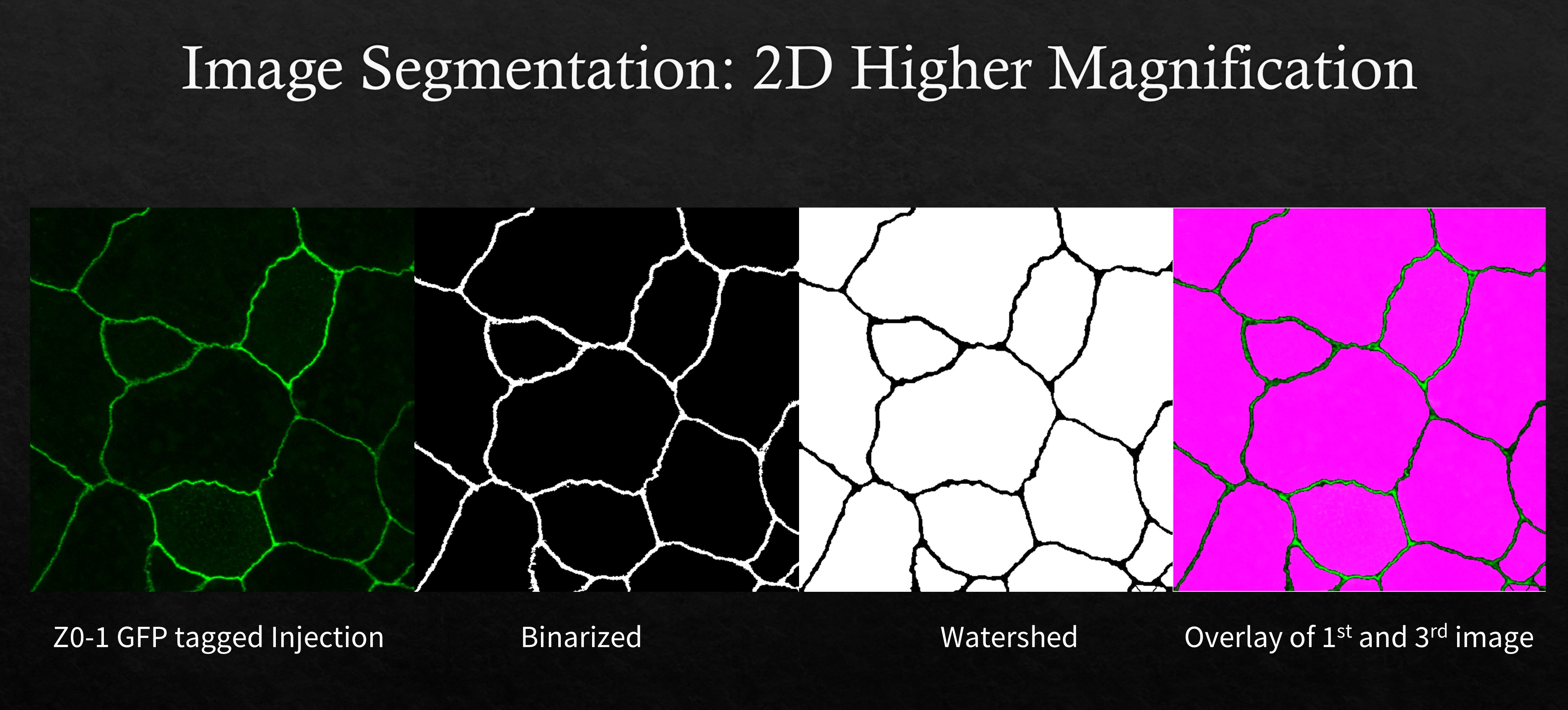 Image Segmentation Using MATLAB - Vignesh Aravind: Project Page