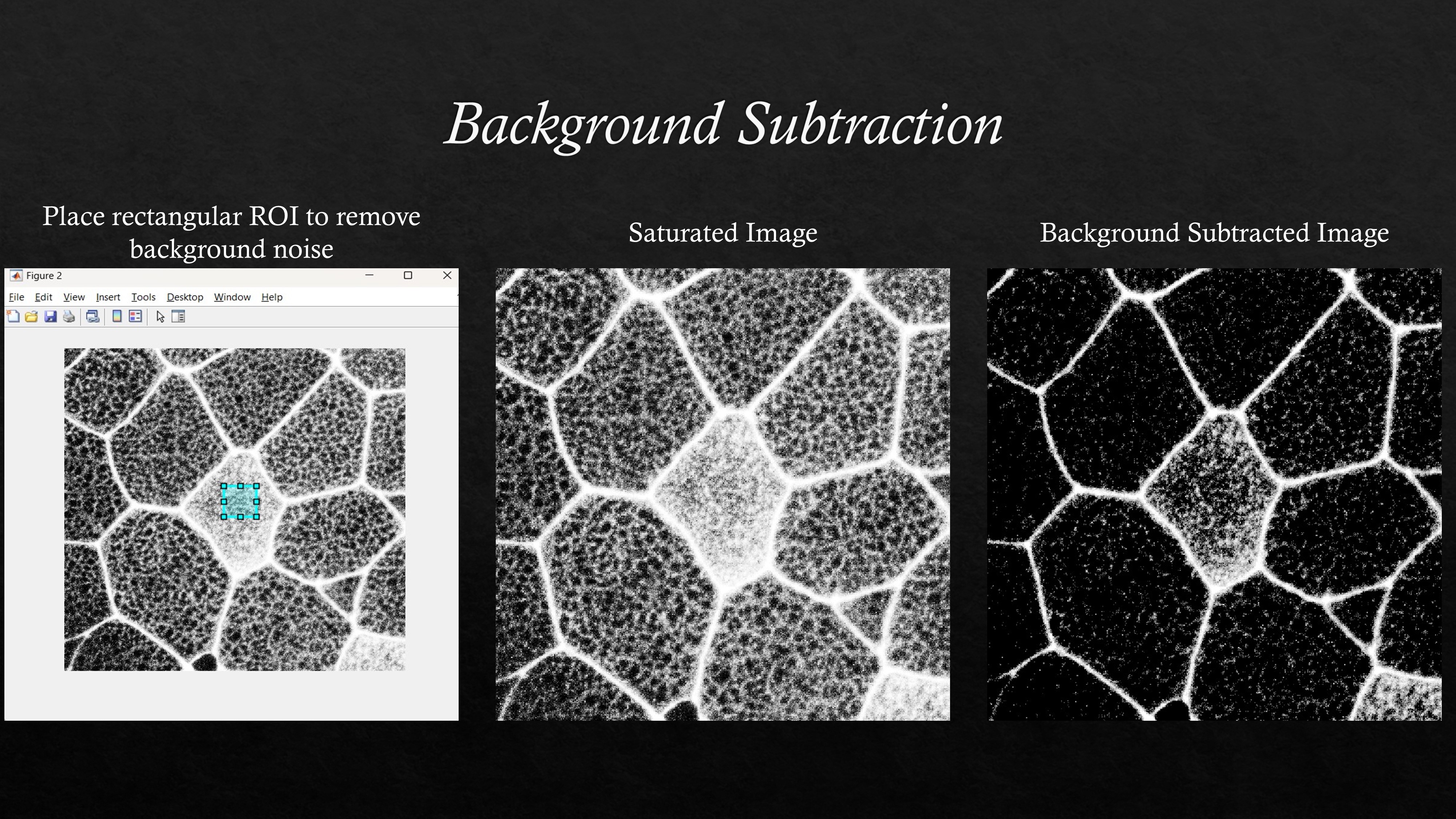 Image Segmentation Using MATLAB - Vignesh Aravind: Project Page